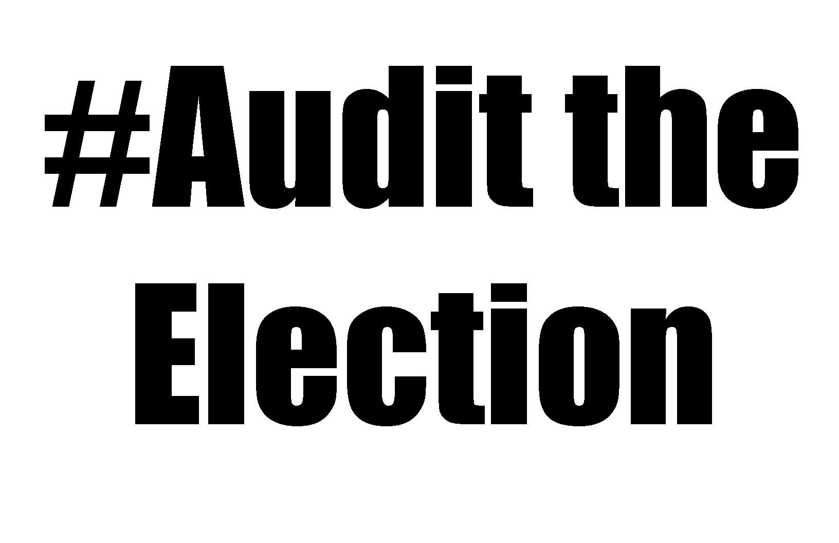 audit-the-election